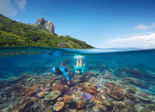 Kuata Island Marine Conservation Experience