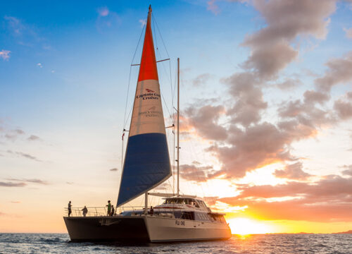 Captain Cook Cruises Sunset Dinner Cruise
