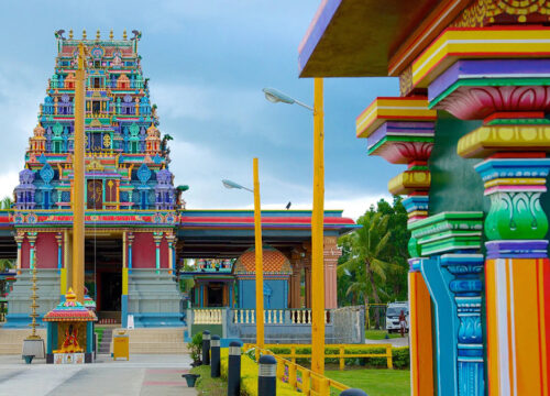 Half Day Nadi Discover Tour