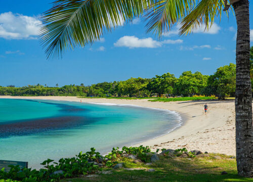 Natadola Picnic Tour