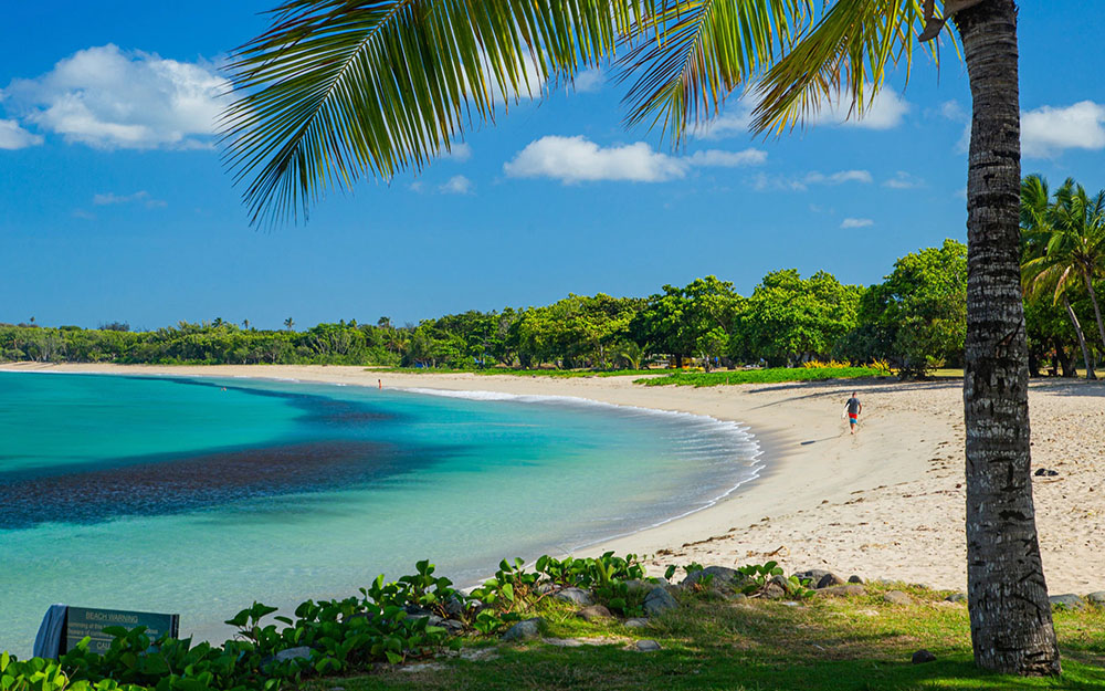 Natadola Picnic Tour