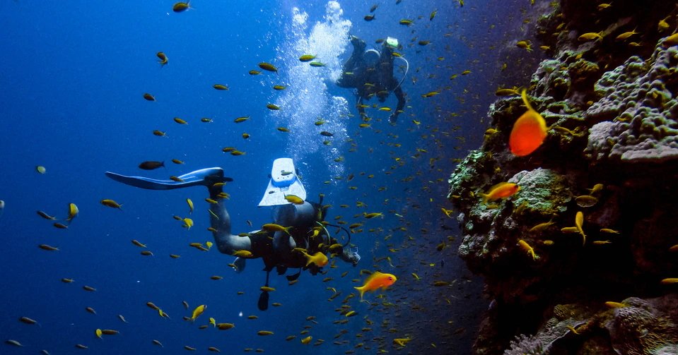 Underwater Adventure