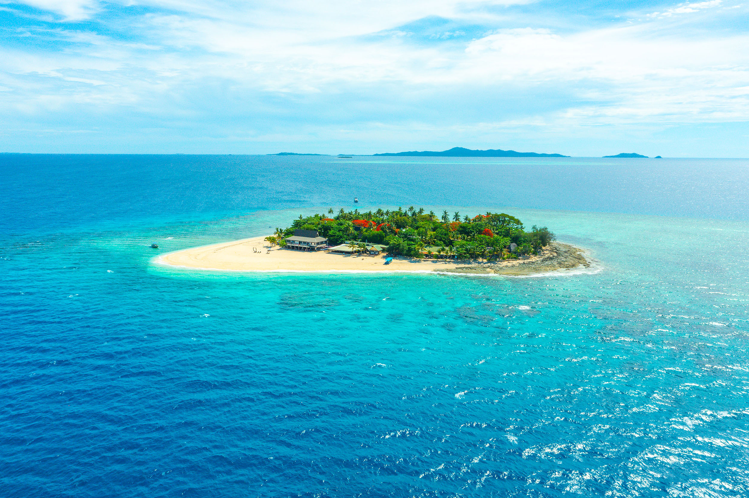 Day Cruise and Sailing