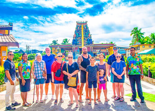 Nadi Half day MudPool Tour