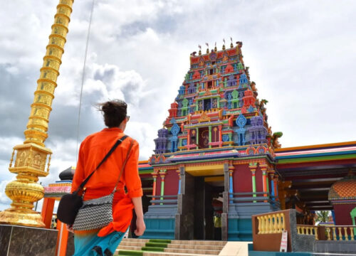 Nadi MudPool Tour - Morning Tour