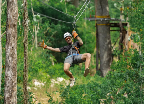 Zipline Momi