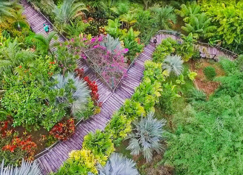 Flora Tropica Botanical Gardens