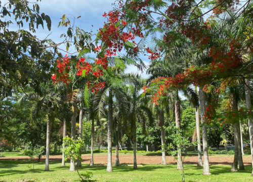 Lautoka Botanical Gardens