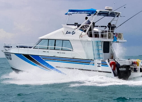 Mamanuca Flying Fish - 6 hours Offshore Fishing