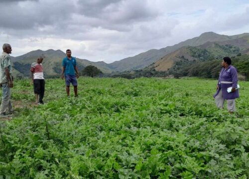 Sigatoka Research Station