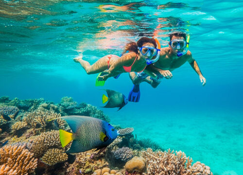 Snorkel at Split Rock