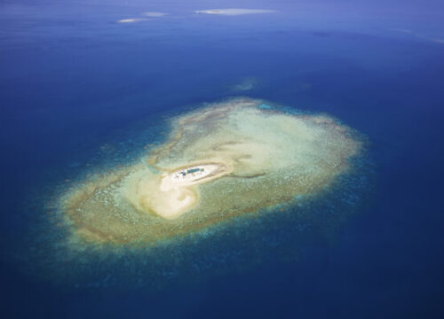 Oolala Savala Island Day Cruise