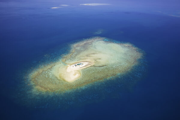 Oolala Savala Island Day Cruise