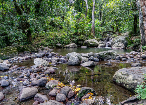 Nadamole Healing Pools & Village