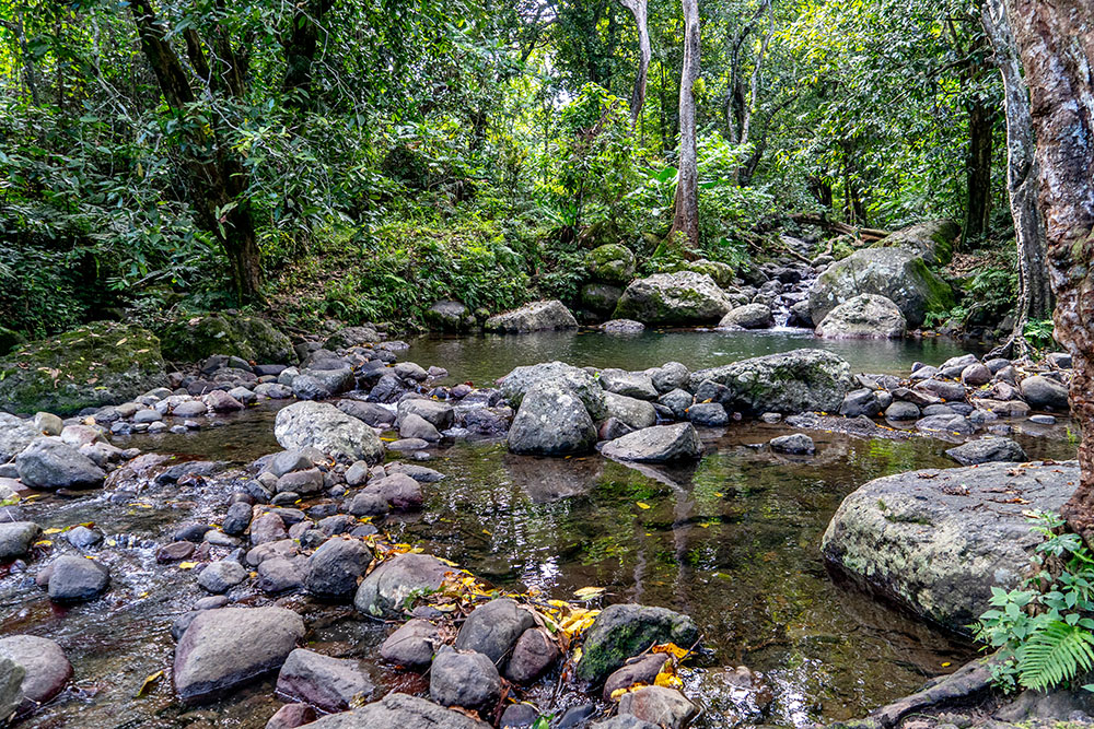 Nadamole Healing Pools & Village – The Sacred Waters of Wellness