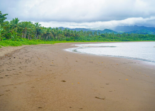 Dreketi Beach Day – The Untamed Escape