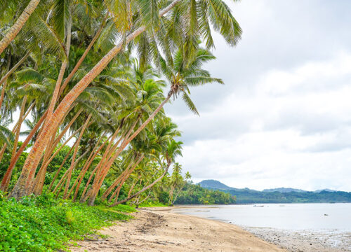 Nukubalavu Beach Day – A Cultural Odyssey
